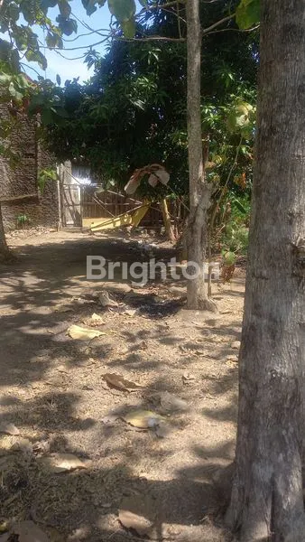 image TANAH PEKARANGAN SRAGEN (1)