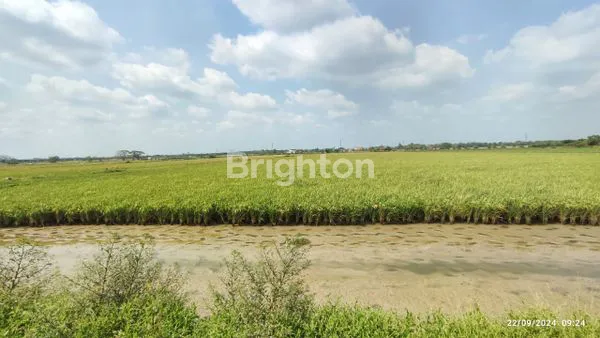 image TAMBAK CERME GRESIK (1)