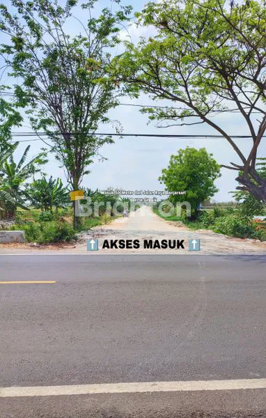 image TAMBAK CERME GRESIK (3)