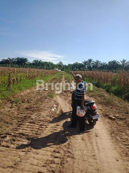image TANAH KOSONG STATEGIS  UNTUK PERKEBUNAN DAN PERUMAHAN (2)