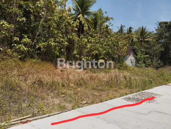 image JUAL CEPAT TANAH PEKARANGAN  KALIKEPEK KULONPROGO (1)