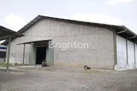 IMG 20240929 WA00091