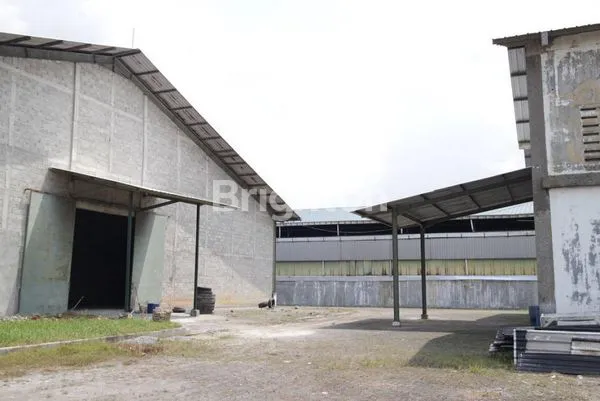 image GUDANG DI CIKARANG (2)