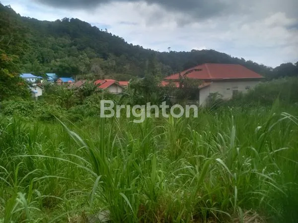 image TANAH DI TAREMPA SELATAN  (5)