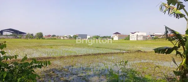 image TANAH SIAP BANGUN COCOK UNTUK LAHAN INDUSTRI (2)
