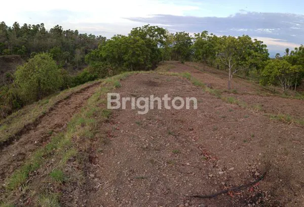 image TANAH LUAS DI DAERAH PARIWISATA TULAMBEN KARANGASEM (1)
