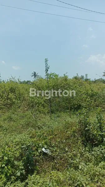 image TANAH TEPI JALAN  (1)