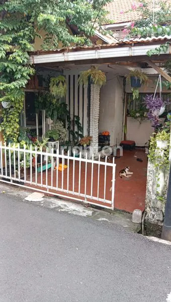 image DIJUAL RUMAH LAMA LOKASI STRATEGIS (2)