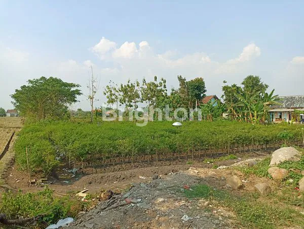 image TANAH DIJUAL (2)