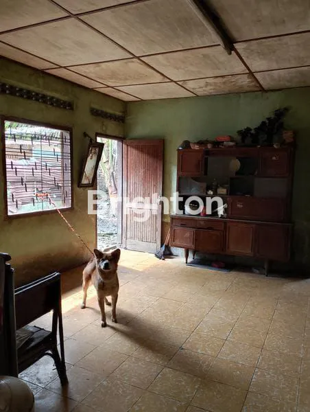 image RUMAH PELITA 6 (4)