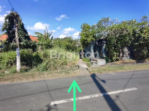 image TANAH GLOBAL DI YEH GANGGA SUDIMARA TABANAN BALI (1)