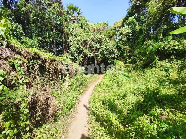 image TANAH GLOBAL DI YEH GANGGA SUDIMARA TABANAN BALI (6)