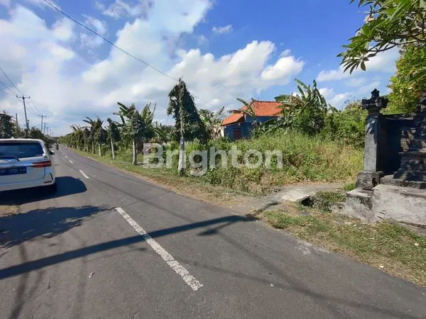image TANAH GLOBAL DI YEH GANGGA SUDIMARA TABANAN BALI (2)