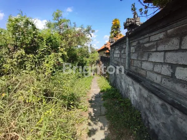 image TANAH GLOBAL DI YEH GANGGA SUDIMARA TABANAN BALI (3)