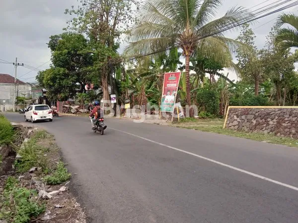 image LAHAN DANAU TOBA JEMBER (2)