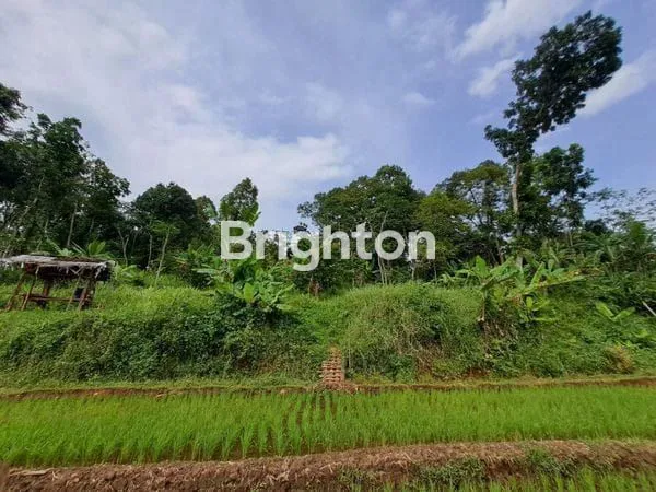 image TANAH INVESTASI HARGA DI BAWAH NJOP DI WONOPLUMBON DEKAT BSB,NGALIYAN MIJEN (1)