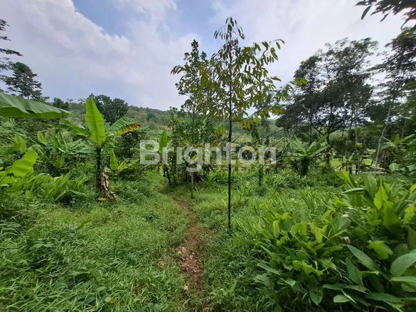 image TANAH INVESTASI HARGA DI BAWAH NJOP DI WONOPLUMBON DEKAT BSB,NGALIYAN MIJEN (2)