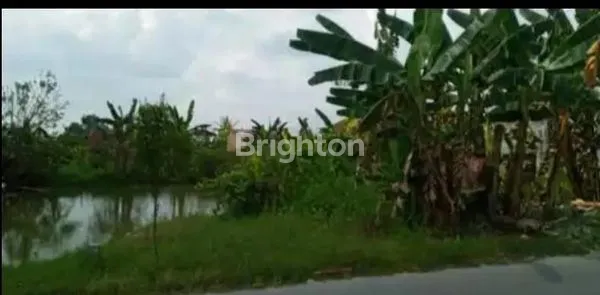 image TANAH CANTIK DI PINGGIRAN JALAN BESAR (1)