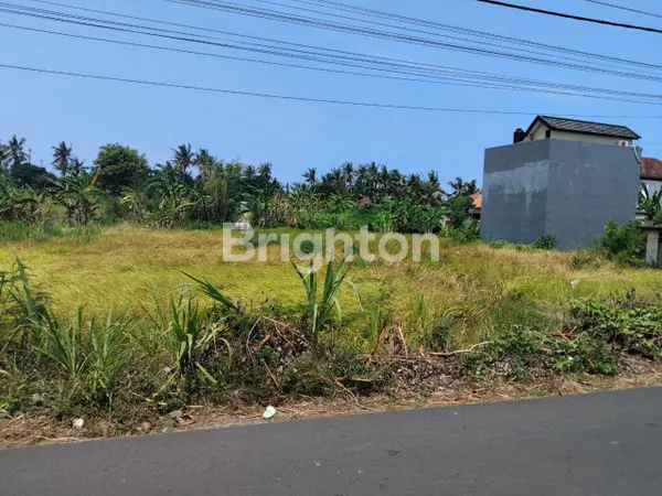 image JUAL TANAH LINGKUNGAN VILLA LOKASI SABA PERING GIANYAR  (6)