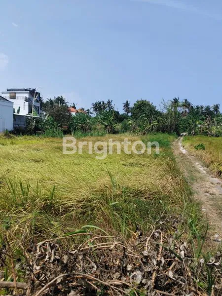 image JUAL TANAH LINGKUNGAN VILLA LOKASI SABA PERING GIANYAR  (8)