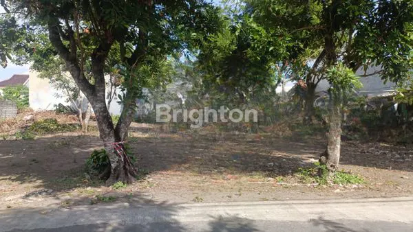 Gambar Property TANAH PEKARANGAN DAERAH CONDONG CATUR