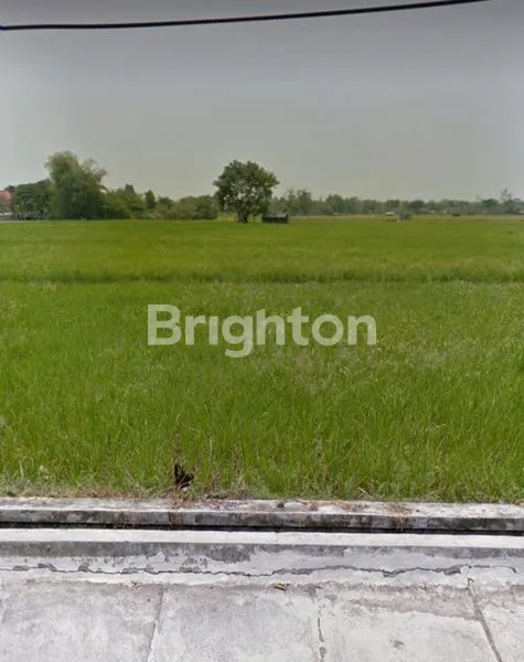 image TANAH SUBUR COCOK UNTUK PERTANIAN (2)