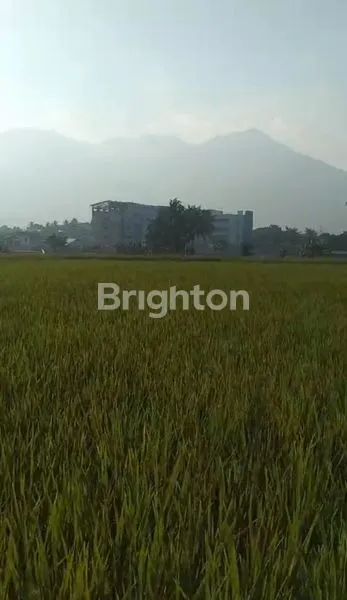 image JUAL TANAH SAWAH DAERAH GARUT. (1)