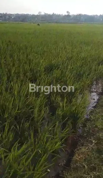 image JUAL TANAH SAWAH DAERAH GARUT. (5)