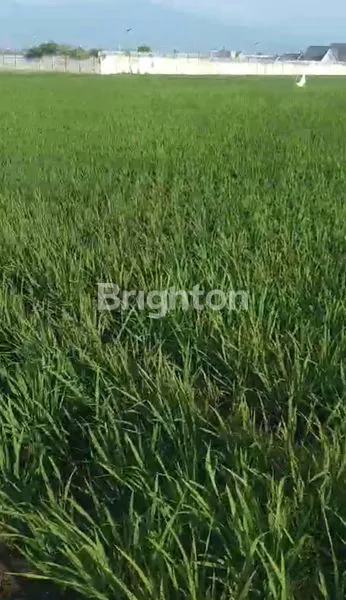 image JUAL TANAH SAWAH DAERAH GARUT. (2)