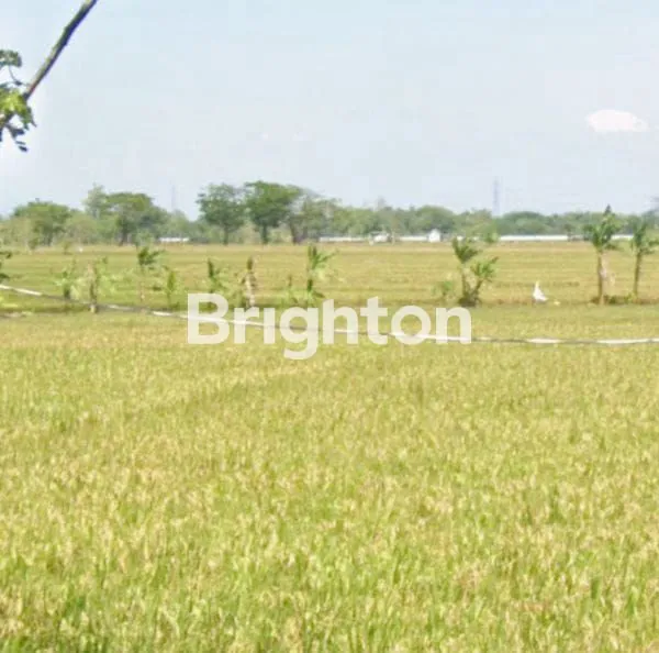 TANAH DI WATUWALANG NGAWI