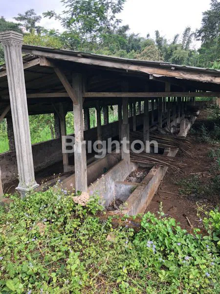 image TANAH LUAS PURWODADI-PASURUAN (4)