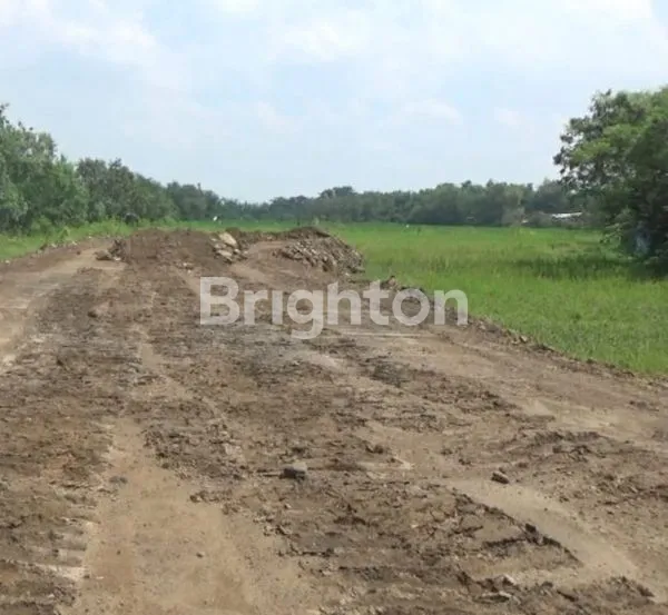 TANAH PRAMBON, SIDOARJO