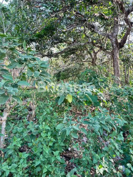 image DISEWAKAN TANAH STRATEGIS DIKAWASAN WISATA PURI GADING JIMBARAN (2)