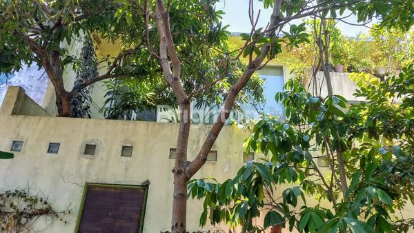 image RUKO + RUMAH + GUDANG DI SIDOARJO KOTA KOMERSIAL AREA, DI JALAN SUNANDAR PRIYO SUDARMO (8)