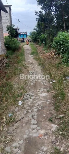 image TANAH KAPLING GUNUNG LINGAI (3)