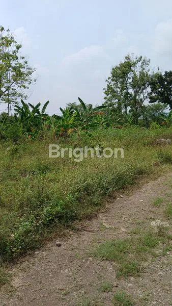 image DIJUAL TANAH STRATEGIS JAUH DR PEMUKIMAN (2)