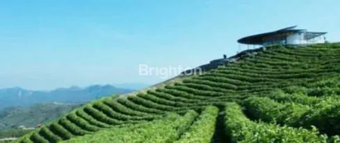 RESORT DI SULAWESI SELATAN