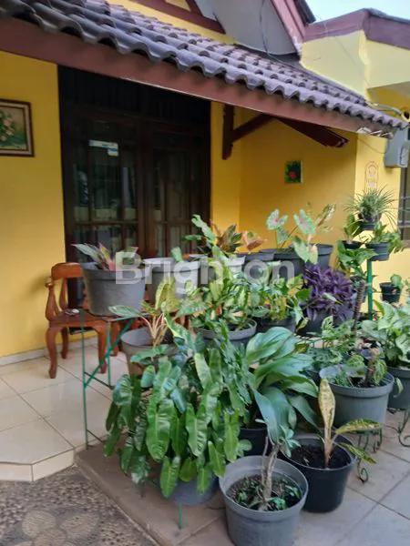 image RUMAH CANTIK SIAP HUNI DI SUKMAJAYA (2)