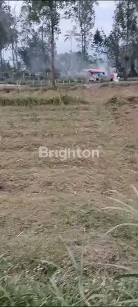 TANAH STRATEGIS COCOK UNTUK VILLA, RUMAH SINGGAH, CAFE DI JUAL CEPAT HARGA SANGAT MURAH