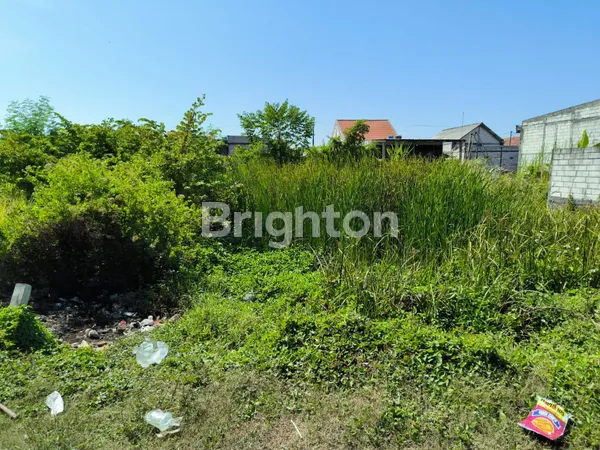 image TANAH KAVLING DESA KWANGSAN (2)