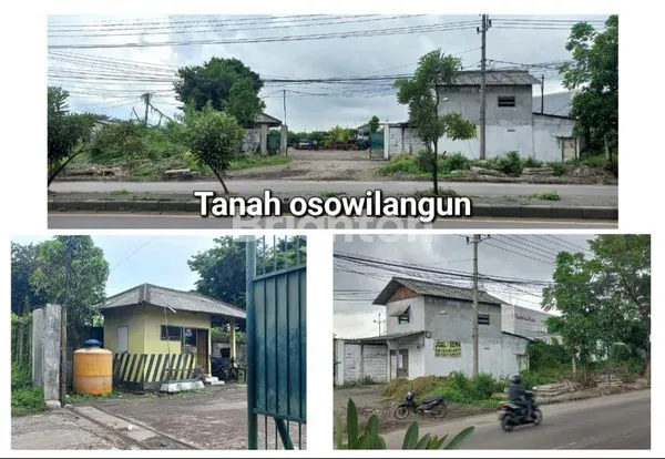 image TANAH MURAH DAERAH TAMBAK OSOWILANGUN  (1)