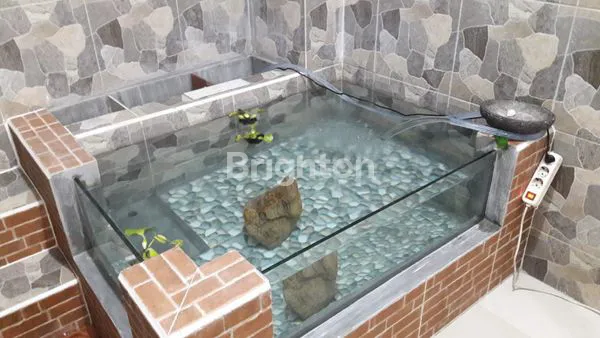 image RUMAH SIAP HUNI 2 LANTAI KOMPLEK KAVLING 10 MEKARJAYA CIOMAS BOGOR (5)