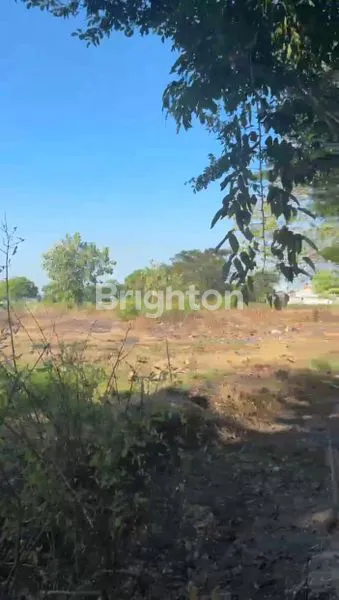 image TANAH DAERAH CERME DEKAT TOLL CERME GRESIK (1)