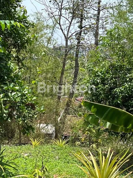 image JUAL CEPAT TANAH DI BAWAH NJOP DEKAT UNDIP TEMBALANG JANGLI (2)