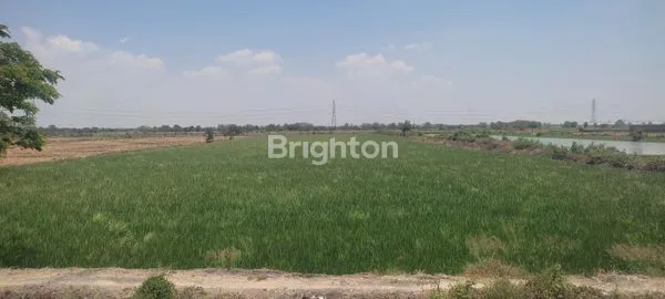 Gambar Property JUAL TANAH 0 JALAN PROPINSI BANJARSARI CERME GRESIK