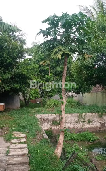 image RUMAH DI CIPARAY BANDUNG SELATAN (8)