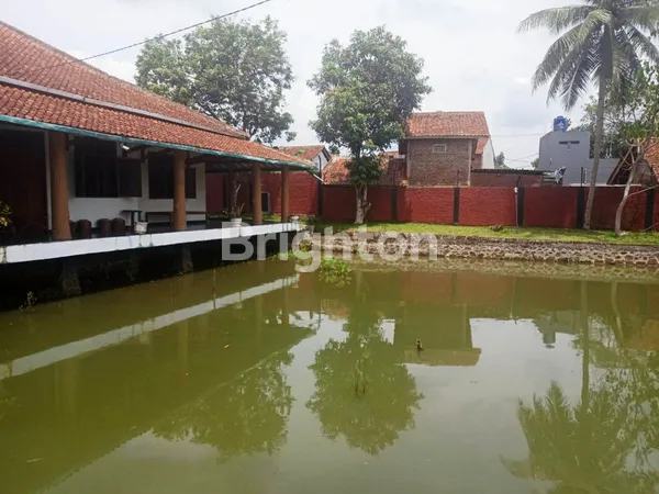image RUMAH DENGAN PEKARANGAN LUAS DAN KOLAM IKAN DI KABUPATEN CIAMIS JAWA BARAT. SELANGKAH KE PUSAT KOTA CIAMIS. (7)