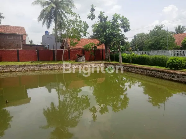 image RUMAH DENGAN PEKARANGAN LUAS DAN KOLAM IKAN DI KABUPATEN CIAMIS JAWA BARAT. SELANGKAH KE PUSAT KOTA CIAMIS. (8)