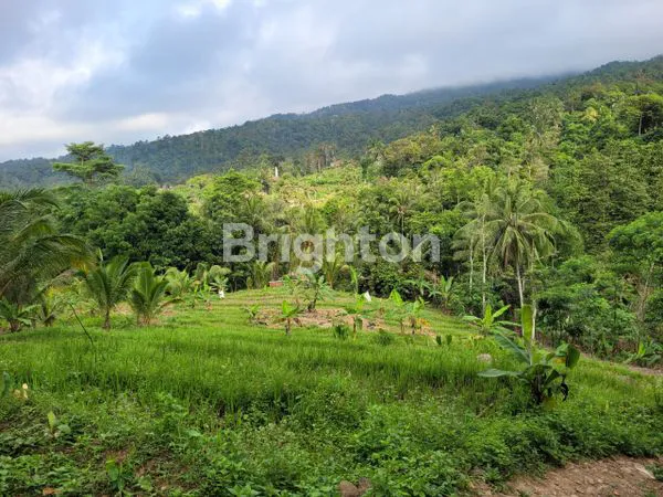 image TANAH DI BANJARWANGI PULOSARI PANDEGLANG (8)