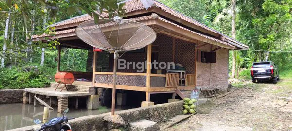 image TANAH DI BANJARWANGI PULOSARI PANDEGLANG (3)